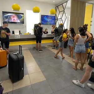 The Hive Party אכסניה